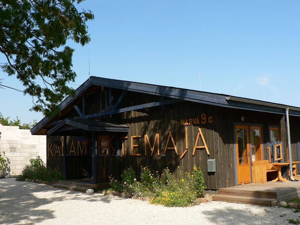 Hostel Kalameeste Maja Mustvee Bagian luar foto