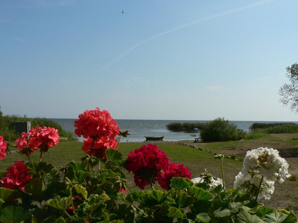 Hostel Kalameeste Maja Mustvee Ruang foto