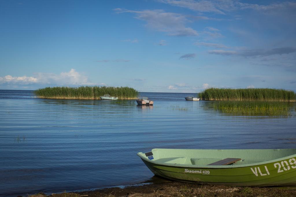 Hostel Kalameeste Maja Mustvee Bagian luar foto